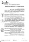 Vista preliminar de documento RES. GERENCIAL N° 016-2020.pdf