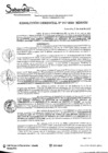 Vista preliminar de documento RES. GERENCIAL N° 017-2020.pdf