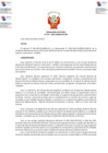 Vista preliminar de documento Resolución