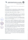 Vista preliminar de documento RA_114_2022.pdf.pdf