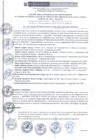 Vista preliminar de documento ACTA SEO N°04-2022-CSIG.pdf