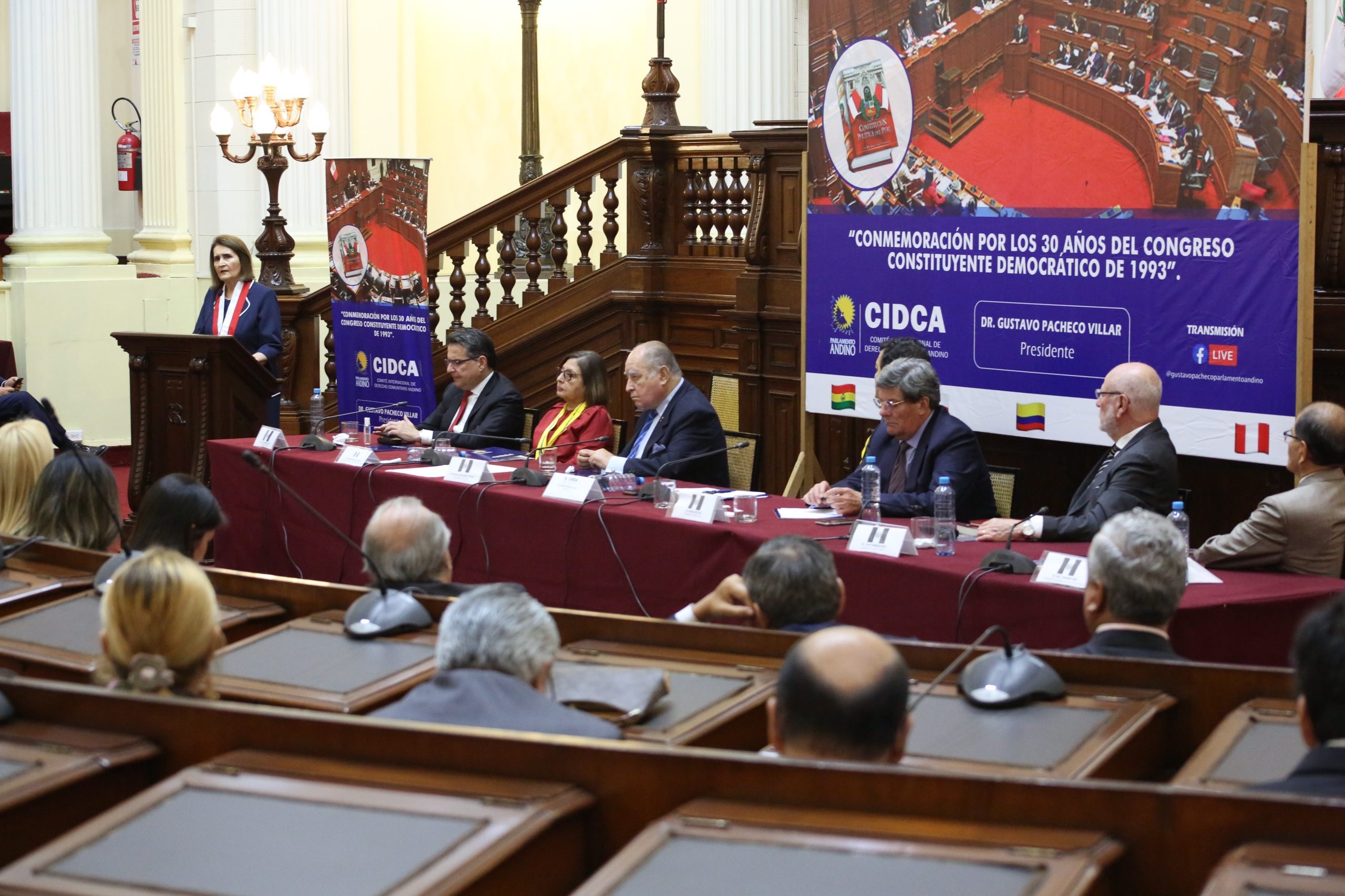 Vicepresidenta del Tribunal Constitucional, Luz Pacheco Zerga en Conmemoración por los 30 años del CCD de 1993.