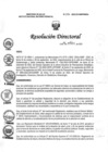 Vista preliminar de documento RD N° 316-2022-DG-INMP/MINSA