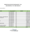 Vista preliminar de documento Telefonía diciembre 2022