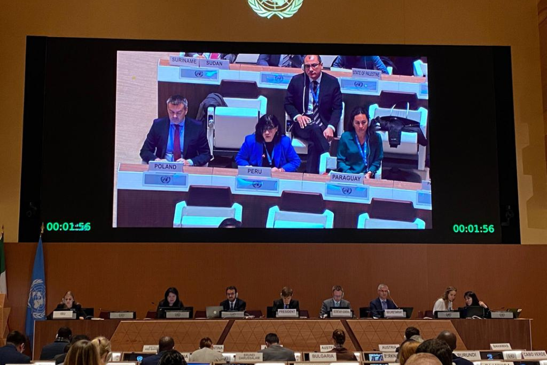 Perú cumplió destacado papel como Vicepresidente del Comité Plenario de la 9° Conferencia de Examen de la Convención sobre armas biológicas