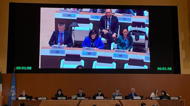 Perú cumplió destacado papel como Vicepresidente del Comité Plenario de la 9° Conferencia de Examen de la Convención sobre armas biológicas