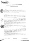 Vista preliminar de documento A.C. N°013-2020.pdf