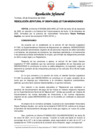 Vista preliminar de documento Resolución Jefatural