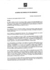 Vista preliminar de documento AC-001-2020-MDCH