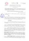 Vista preliminar de documento doc00310820221228162558.pdf