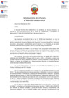 Vista preliminar de documento Resolución