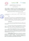 Vista preliminar de documento doc00310520221228162450.pdf
