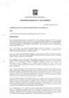 Vista preliminar de documento ORDENANZA 355-2019-MDCH