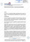 Vista preliminar de documento Resolución Jefatural N° 000199-2022-JNAC_RENIEC