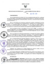Vista preliminar de documento RES N°081-2023-GR