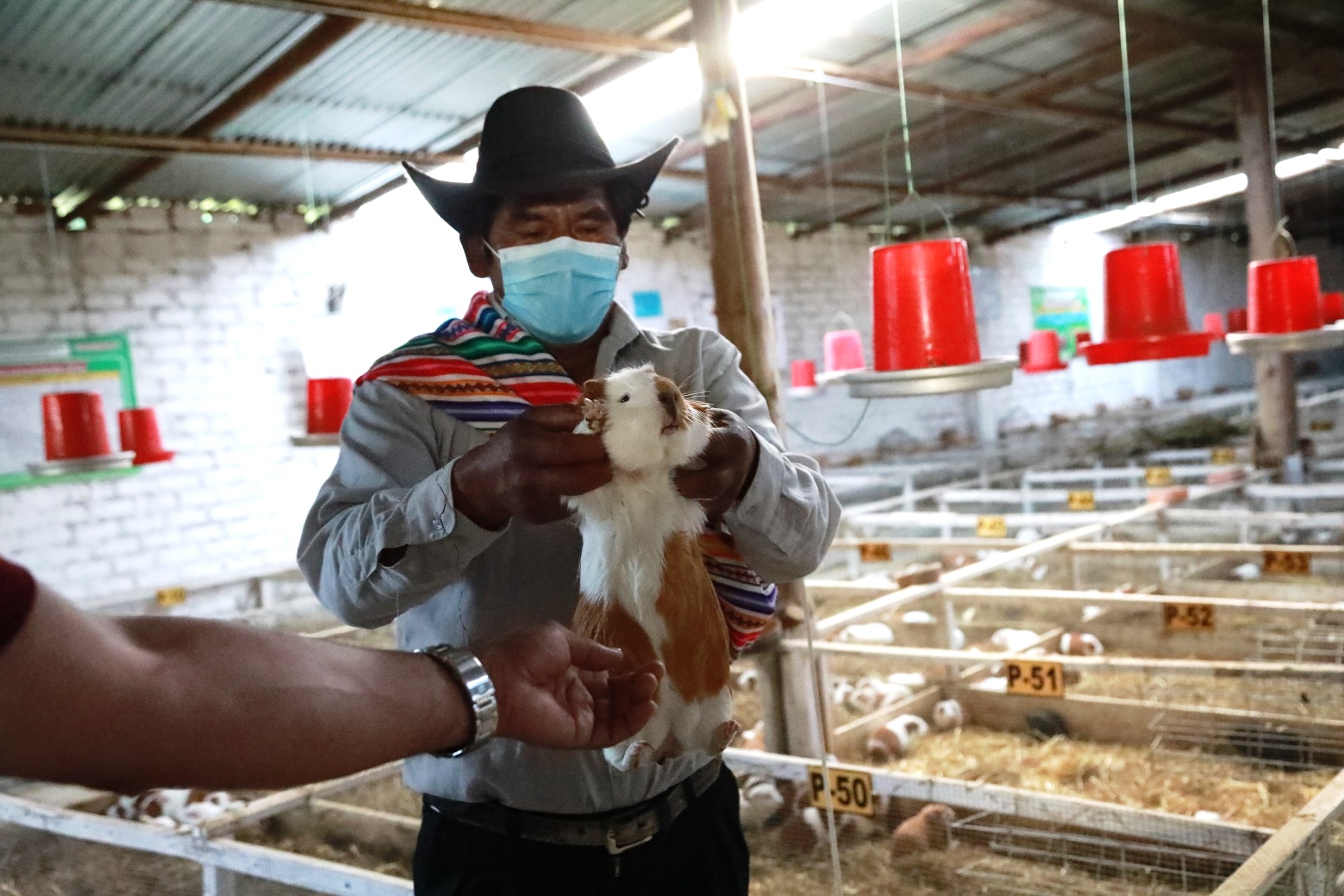Crianza tecnificada de animales menores