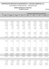Vista preliminar de documento Estado Situación Financiera (BG-F3E) - AGOSTO