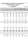 Vista preliminar de documento Estado Situación Financiera (BG-F3E) - NOVIEMBRE