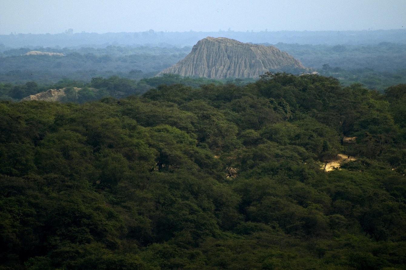 Santuario Histórico Bosque Pómac