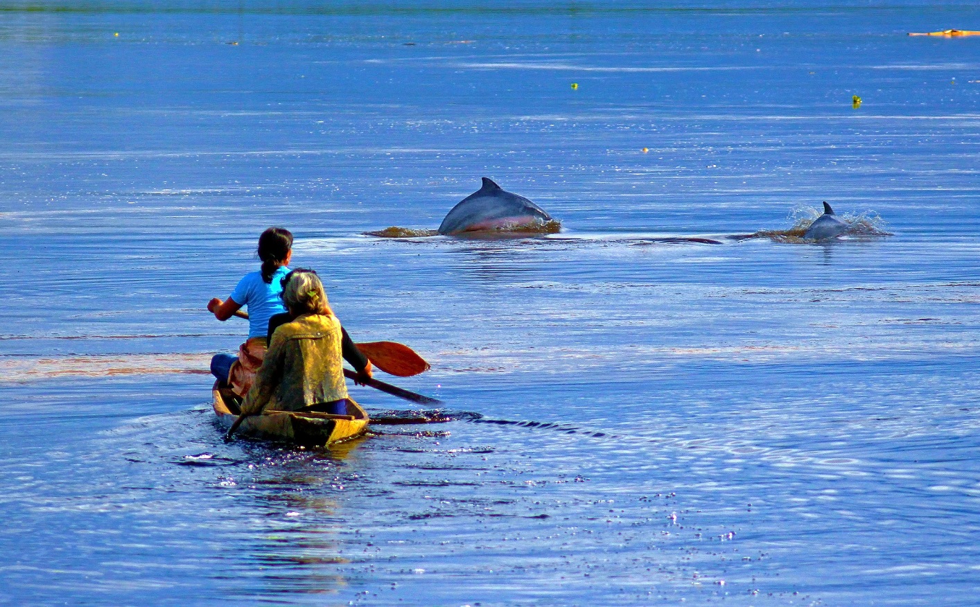 Reserva Nacional Pacaya Samiria