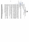 Vista preliminar de documento R.A.+N°+229+-+ENCARGAR+A+MIGUEL+ANGEL+CHAVEZ+YOVERA+EN+ADICION+EL+JPL+DE+TRANSITO+Y+SEGURIDAD+VIAL.pdf