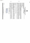 Vista preliminar de documento R.A.+N°+244+-+DISPONER+QUE+ROSA+LUZ+PERALES+PERALES+EN+ADICION+SE+HAGA+CARGO+DEL+DESPACHO+JUZGADO+CIVIL+DE+CARABAYLLO.pdf