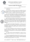 Vista preliminar de documento RA17