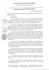 Vista preliminar de documento RA18