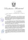 Vista preliminar de documento RM.N° 361