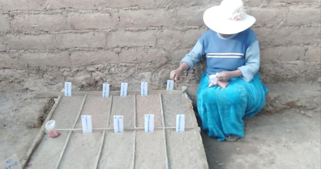 Fitotoldos y cobertizos.