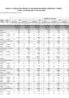 Vista preliminar de documento ANEXO 4 CUADRO MULTIANUAL DE NECESIDADES BIENES SERVICIOS Y OBRAS.pdf