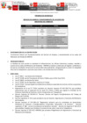 Vista preliminar de documento TDR FINAL SERVICIO LIMPIEZA SEDES MINAM POR 3 MESES - ENE 2023 OK - REV JEF MORENO.pdf
