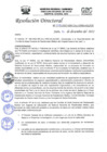 Vista preliminar de documento R.D.N°528-2022-HGJ.pdf