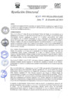 Vista preliminar de documento R.D.N°540-2022-HGJ.pdf
