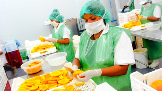 GORE solicita apoyo a ministro ante cierre del mercado chileno al mango Edward