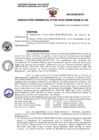 Vista preliminar de documento RG 345-2022