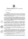 Vista preliminar de documento Resolución directoral