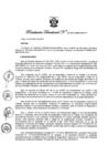 Vista preliminar de documento Resolución Directoral