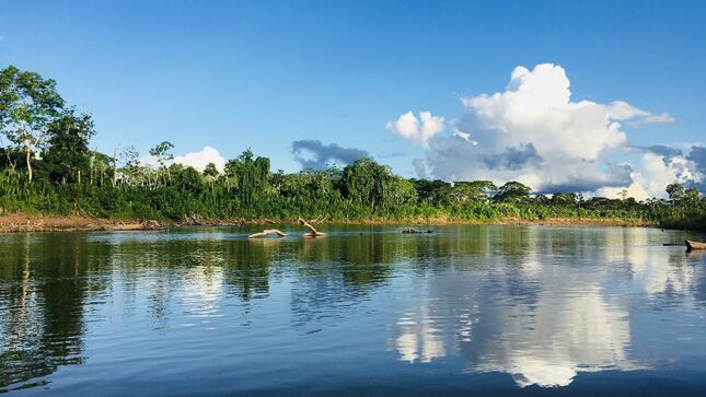 Ministerio de Cultura inscribe a la Reserva Indígena Kakataibo Norte y Sur en Registros Públicos 
