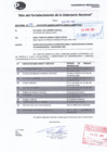 Vista preliminar de documento IMFORME N°006.pdf