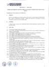 Vista preliminar de documento rm_269_2019_mimp_anexo