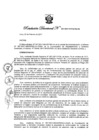 Vista preliminar de documento Resolución Directoral