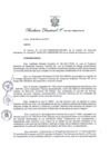 Vista preliminar de documento Resolución Directoral
