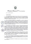 Vista preliminar de documento Resolución Directoral