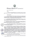 Vista preliminar de documento Resolución Directoral