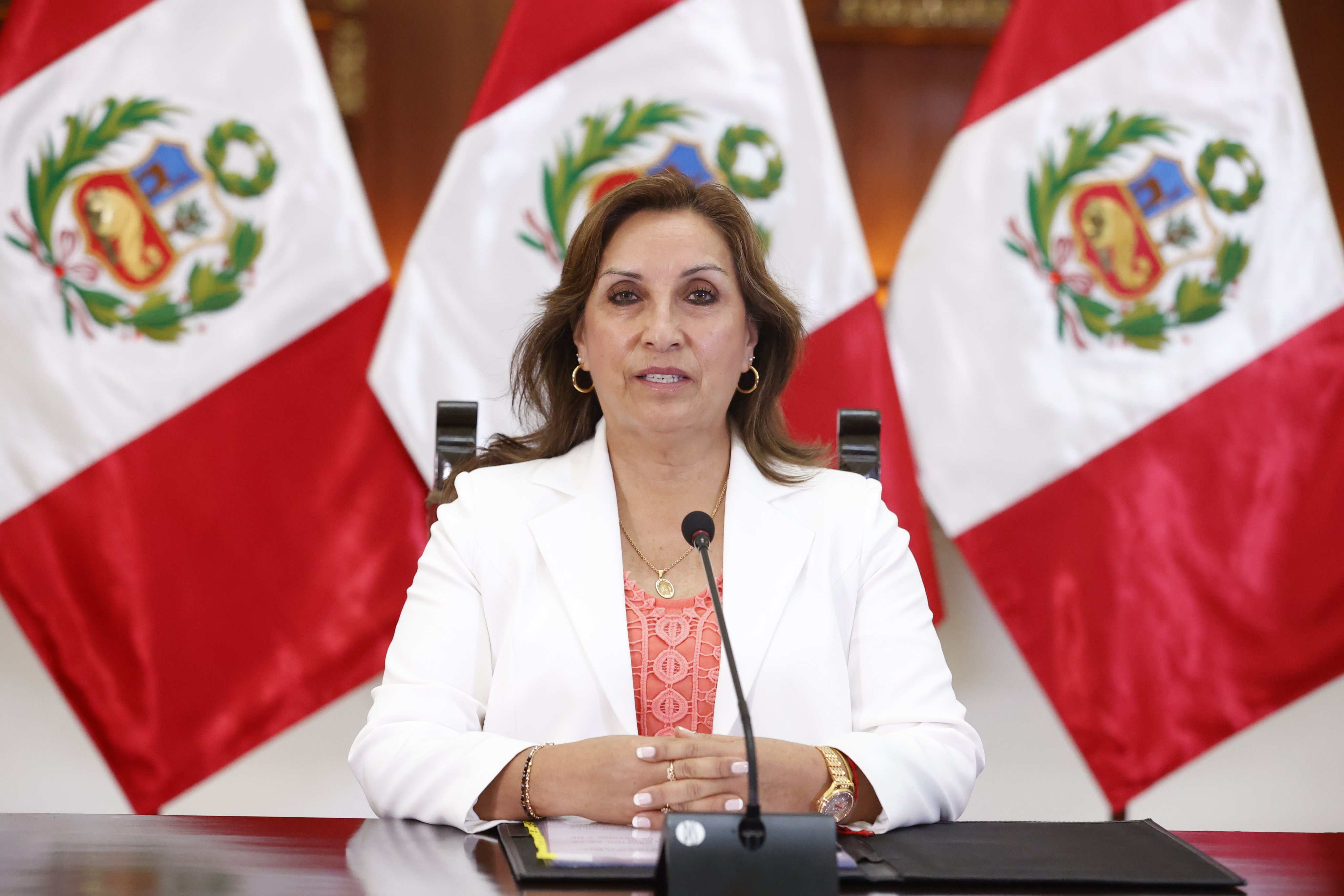 Señora presidenta de la República Dina Boluarte