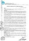 Vista preliminar de documento resolucion_gerencial-06-09-2021-1630957033