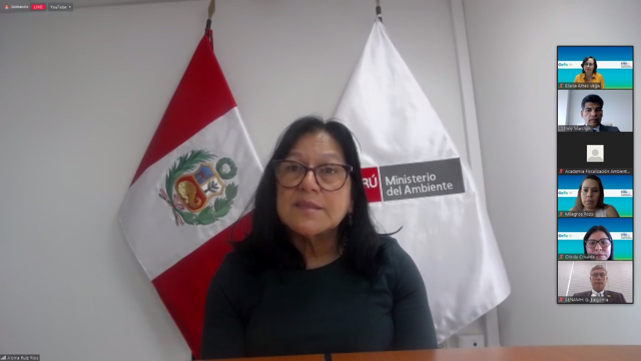 Ministra del Ambiente, Albina Ruiz