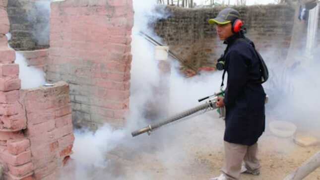 GORE ataca por todos los frentes para frenar casos de dengue en la región Piura