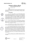Vista preliminar de documento resolucion_gerencial-27-09-2021-1632767584